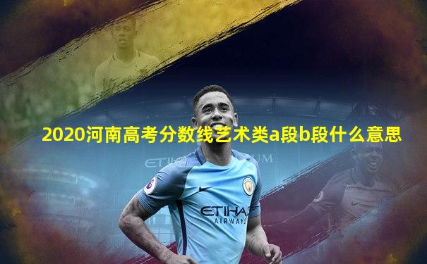 2020河南高考分数线艺术类a段b段什么意思