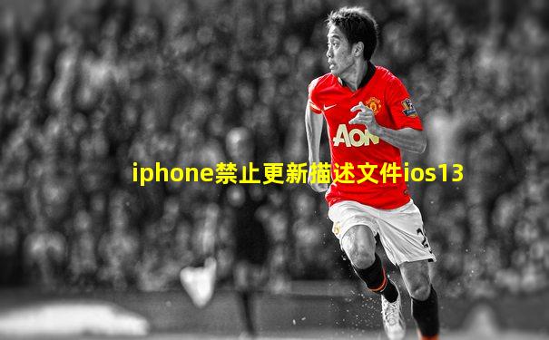 iphone禁止更新描述文件ios13
