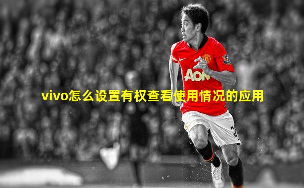 vivo怎么设置有权查看使用情况的应用