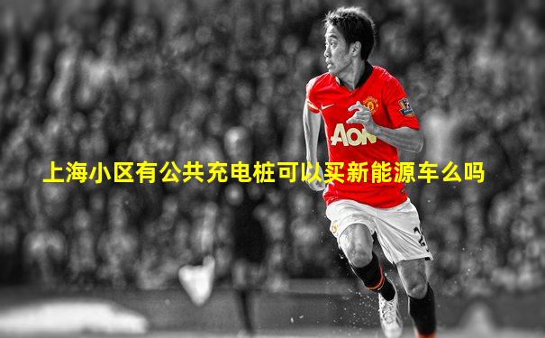 上海小区有公共充电桩可以买新能源车么吗