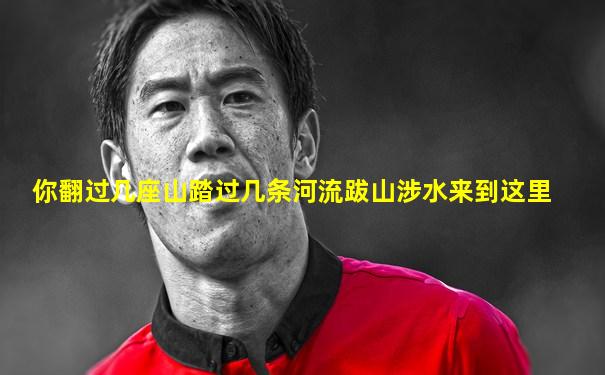 你翻过几座山踏过几条河流跋山涉水来到这里