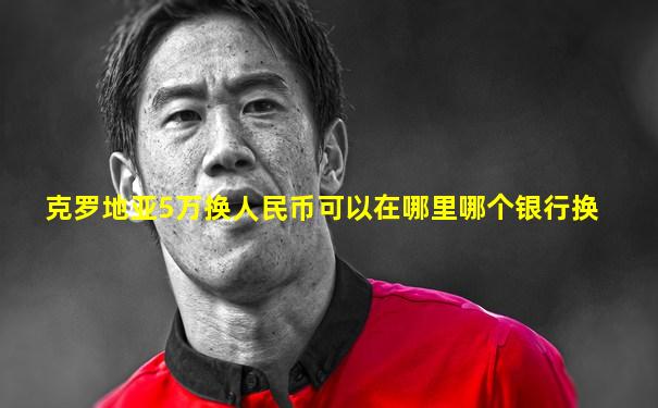 克罗地亚5万换人民币可以在哪里哪个银行换