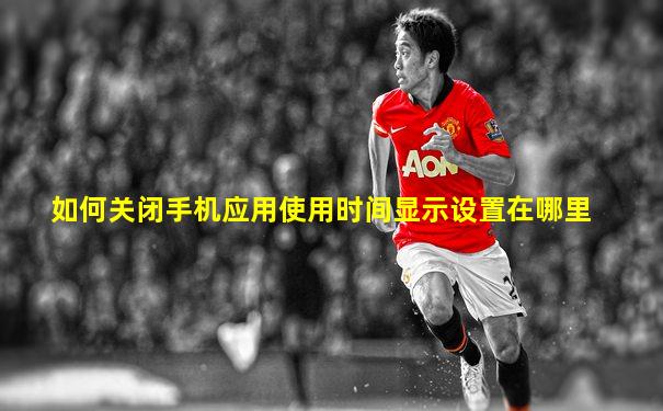 如何关闭手机应用使用时间显示设置在哪里