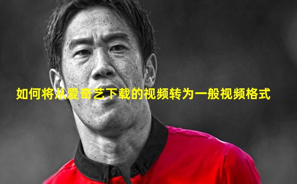 如何将从爱奇艺下载的视频转为一般视频格式