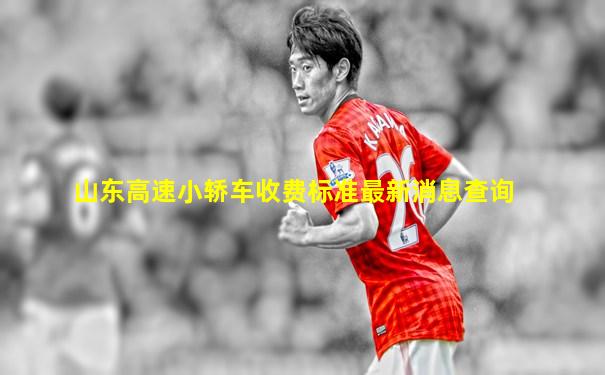 山东高速小轿车收费标准最新消息查询