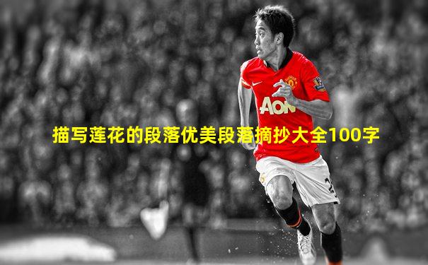 描写莲花的段落优美段落摘抄大全100字