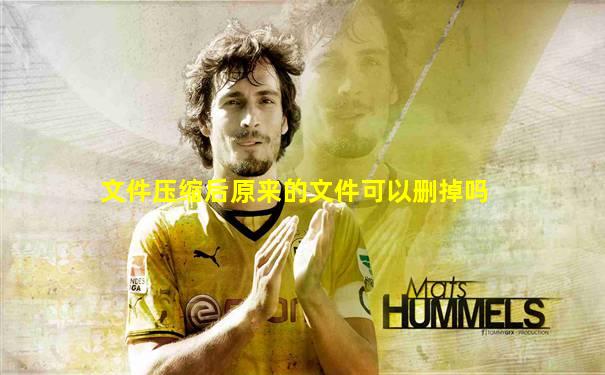 文件压缩后原来的文件可以删掉吗