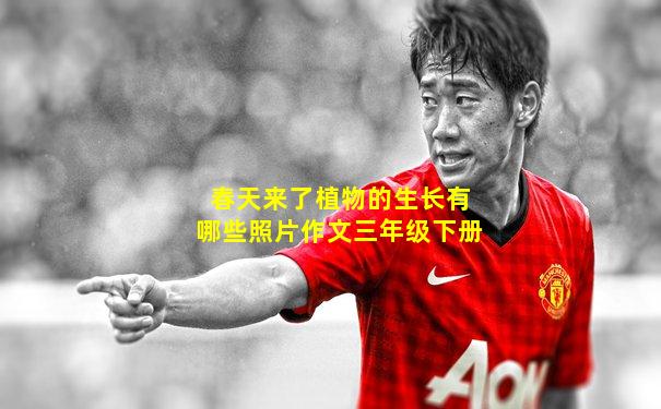 春天来了植物的生长有哪些照片作文三年级下册