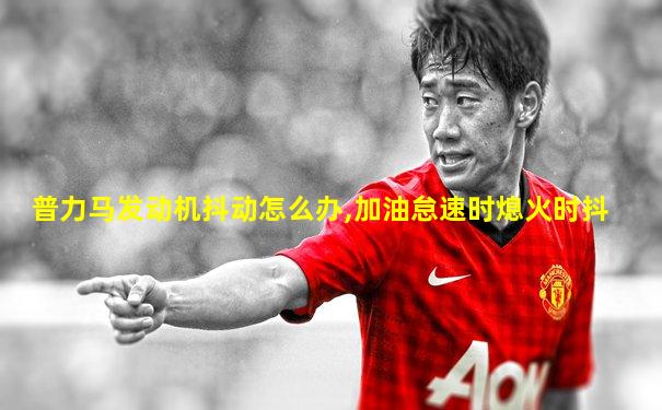 普力马发动机抖动怎么办,加油怠速时熄火时抖