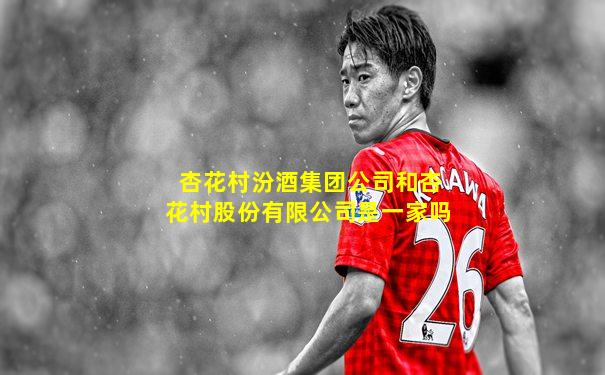 杏花村汾酒集团公司和杏花村股份有限公司是一家吗
