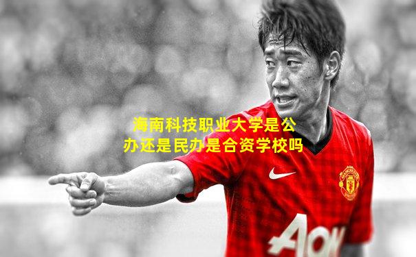 海南科技职业大学是公办还是民办是合资学校吗