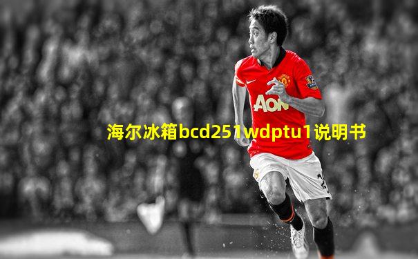 海尔冰箱bcd251wdptu1说明书