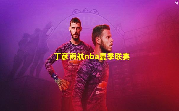 丁彦雨航nba夏季联赛
