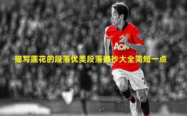 描写莲花的段落优美段落摘抄大全简短一点