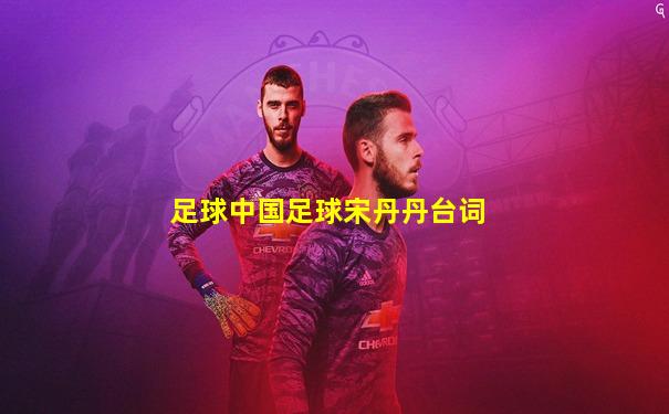足球中国足球宋丹丹台词